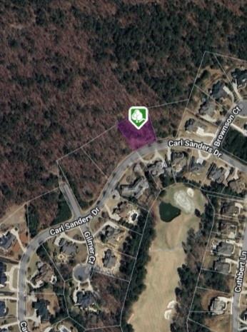 210 Carl Sanders Drive, Acworth, Georgia image 1
