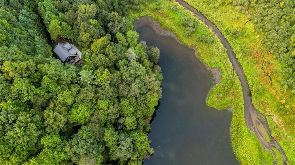 381 Cohutta Wilderness Trail