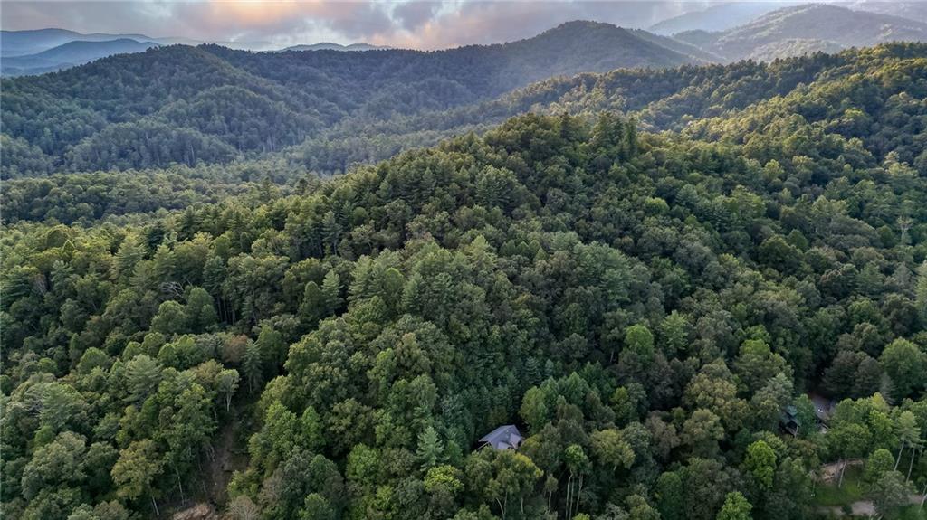 381 Cohutta Wilderness Trail
