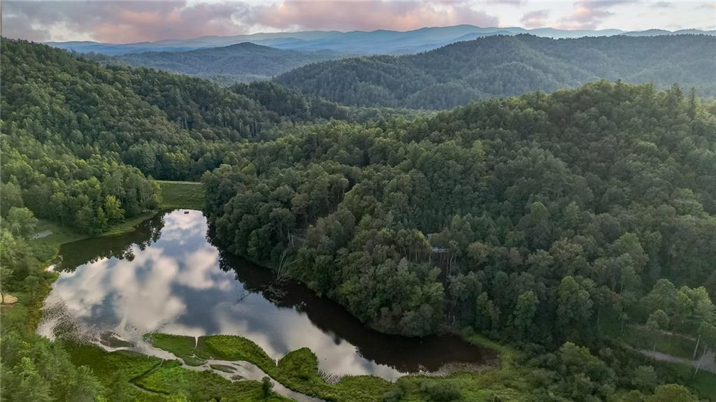 381 Cohutta Wilderness Trail
