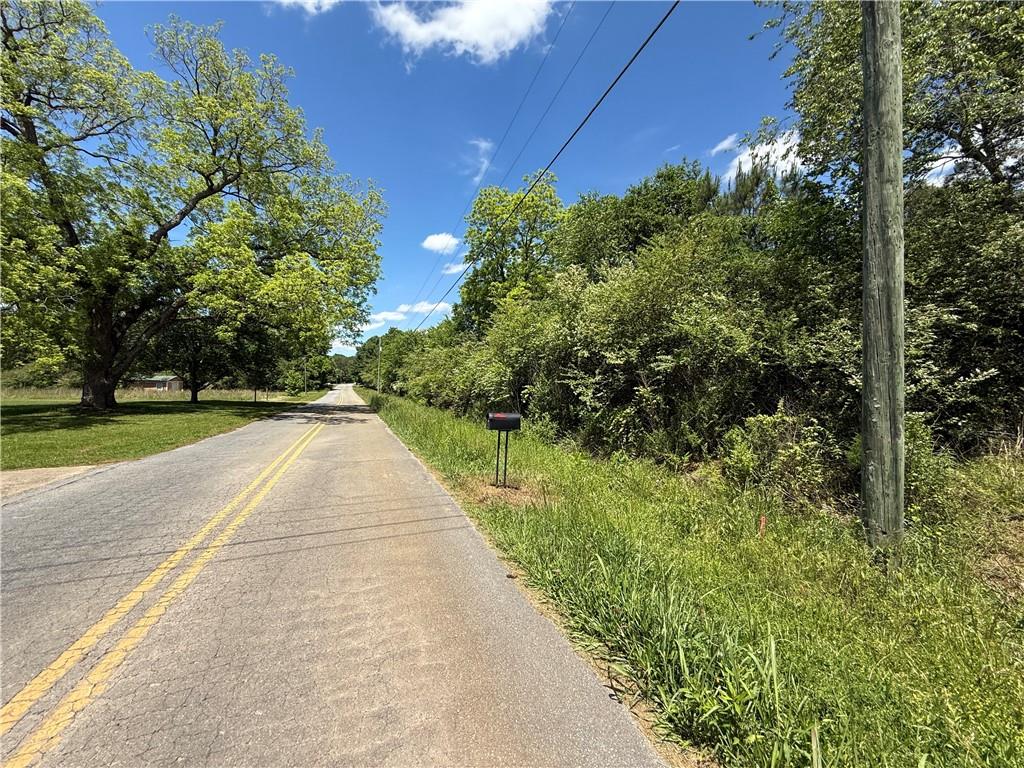 Grogan Road, Buchanan, Georgia image 3