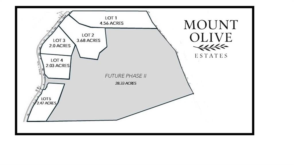 426 Mt. Olive Church Lane Ln, White, Georgia image 10