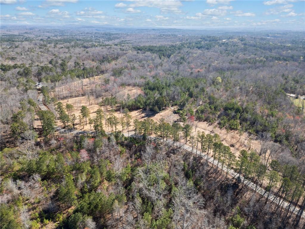 426 Mt. Olive Church Lane Ln, White, Georgia image 8