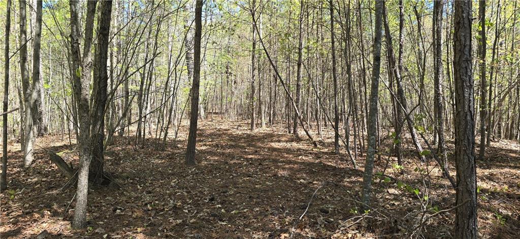 2297 Highway 136, Talking Rock, Georgia image 42