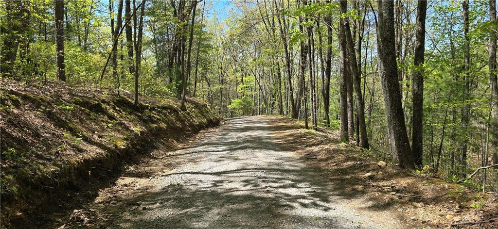 2297 Highway 136, Talking Rock, Georgia image 46