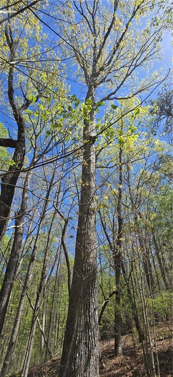 2297 Highway 136, Talking Rock, Georgia image 41
