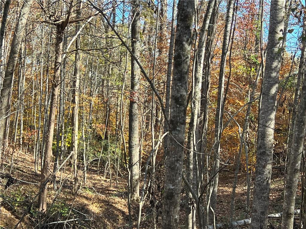 00 Nicholson Road, Cumming, Georgia image 7