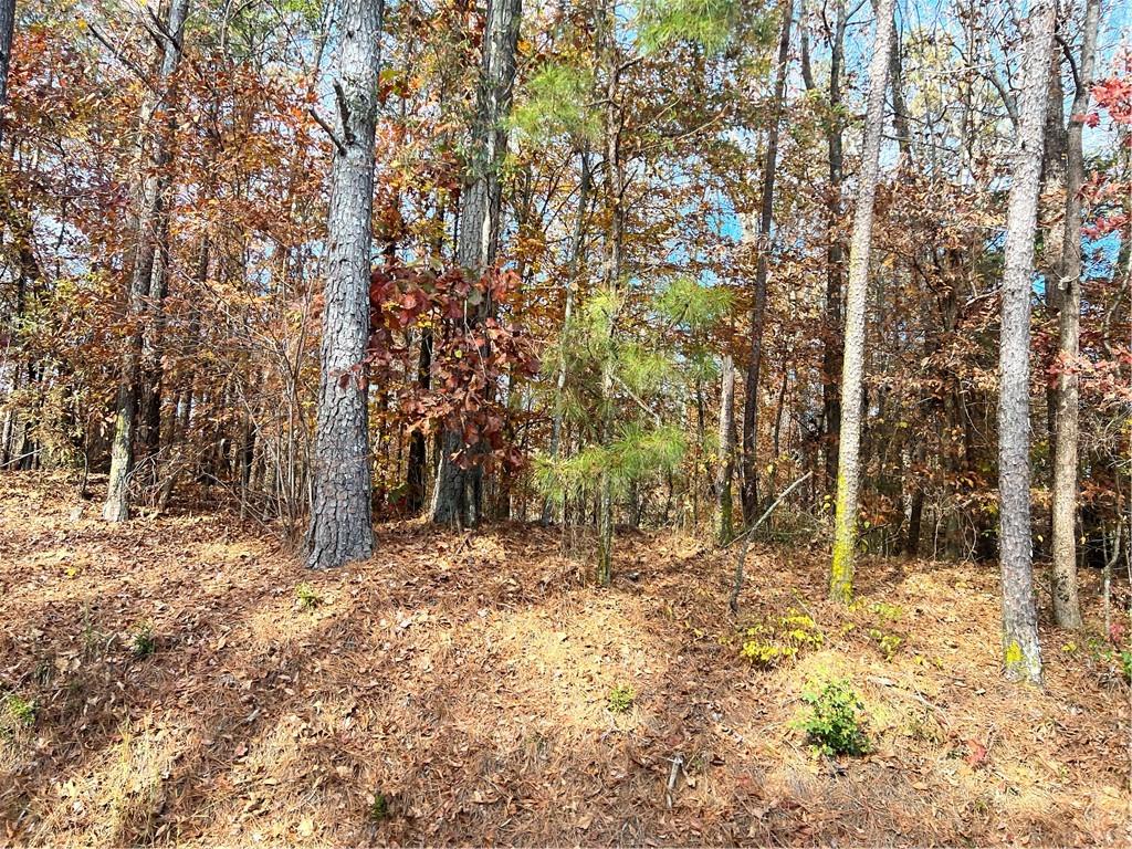 00 Nicholson Road, Cumming, Georgia image 3