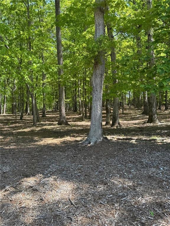 910 Rao Drive, Monroe, Georgia image 3
