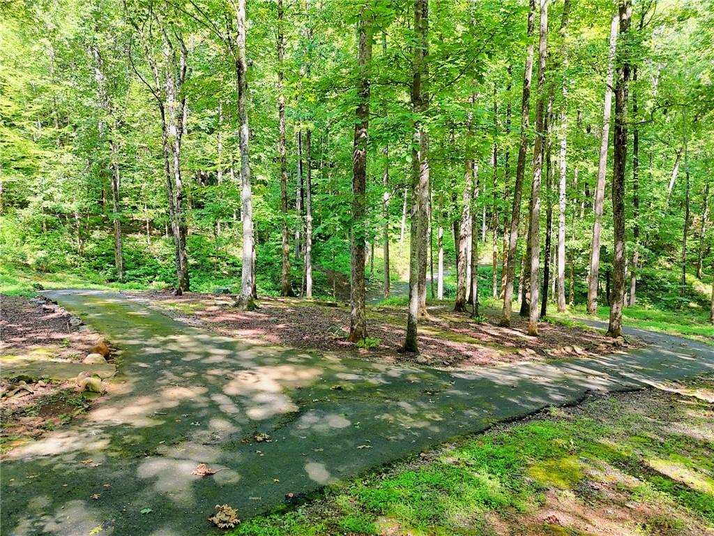 876 Whitetail Trail