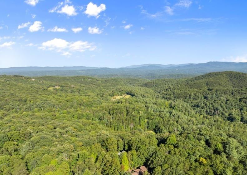 Bring your vision to life with this 0.55-acre lot in the highly desirable gated community of Walnut Mountain in Ellijay, GA! With 77 feet of paved road frontage and easy access, this property is ready for your dream home-just needs a soil test and a builder to begin. Community water is already available and conveniently included in the HOA dues, leaving only a septic system to be installed. Nestled in a well-established neighborhood, this lot offers a great location for full-time living, a peaceful part-time escape, or even a profitable vacation rental. Walnut Mountain is known for its natural beauty, security, and sense of community, making it one of Ellijay's most sought-after areas. Don't miss this chance to create your perfect mountain retreat! Right to the R of 133 Pine Ridge Road, Ellijay GA 30540. Map GPS to this address, see lot to R of this home. NO sign per the HOA. From Walmart in Ellijay, turn R onto Hwy 515 N. In 1.6 mi, turn L onto First Ave. In 600 ft, turn R onto Hwy 52 E. In 1.3 mi, turn L onto Turniptown Rd. In 3.7 mi, take a slight L turn onto Walnut Mountain Road. In 100 ft, turn R onto Walnut Mountain Road. In 0.7 mi, turn L onto Pine Ridge Rd. In 750 ft, the destination is on your L. Sign in place.