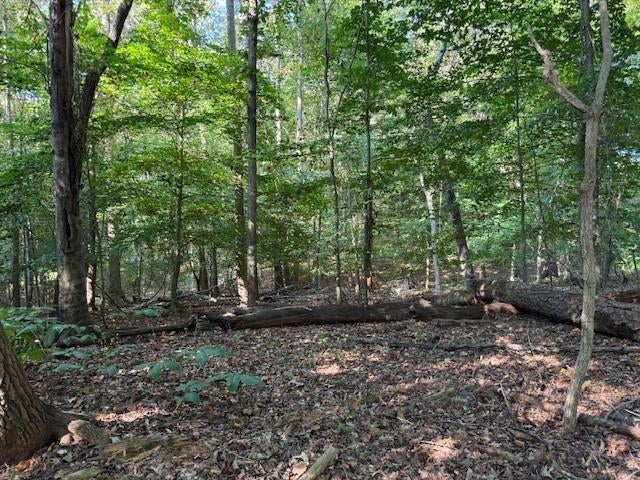 340 Jesse Martin Trail