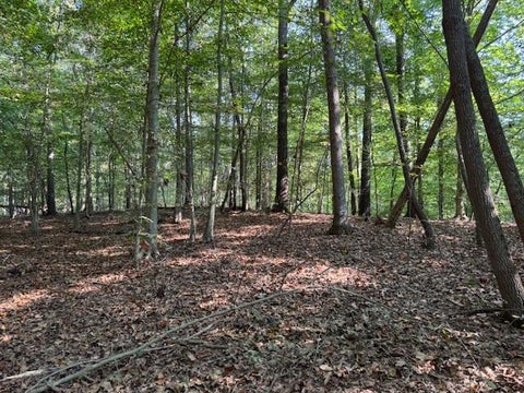 Vacant Land For Sale - 340 Jesse Martin Trail<br/> Canton, GA 30115