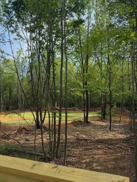 236 Dewaters Road, Commerce, Georgia image 14