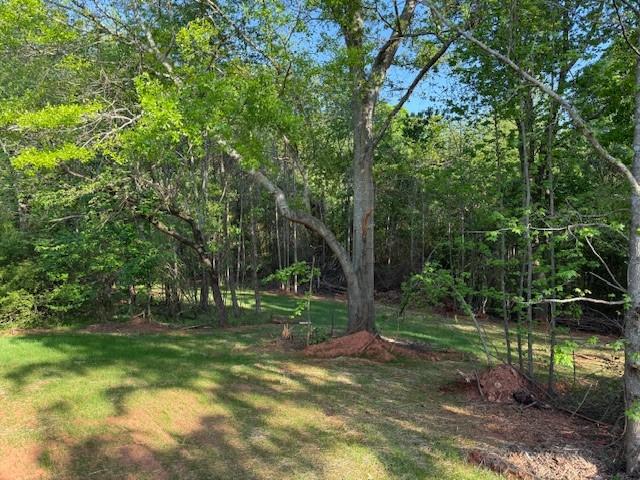 236 Dewaters Road, Commerce, Georgia image 15