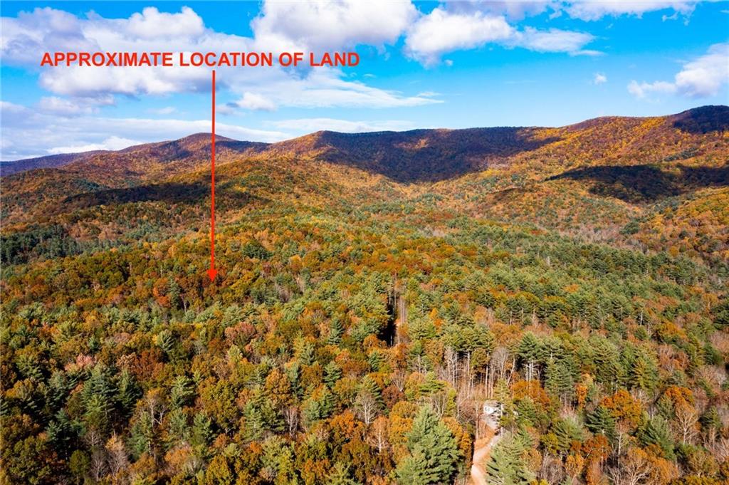 799 Whitecliff Drive