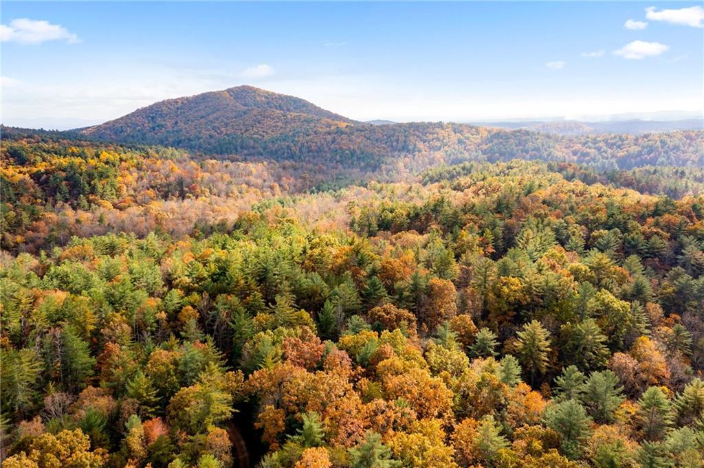 799 Whitecliff Drive