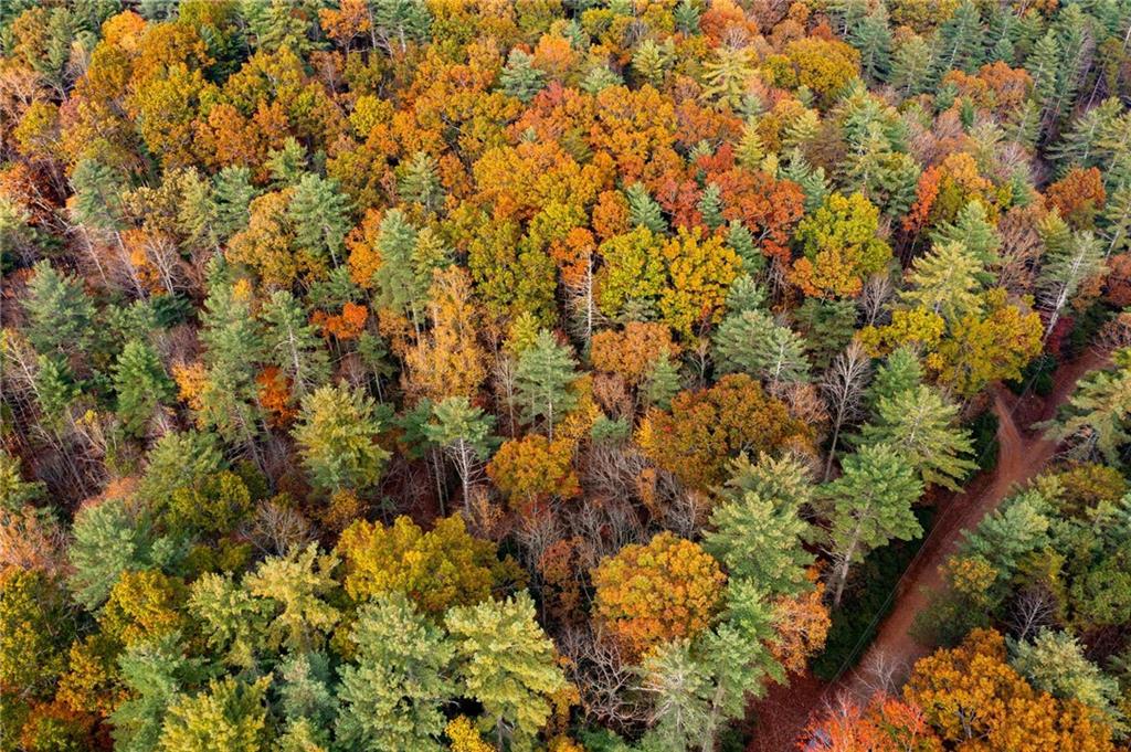 799 Whitecliff Drive