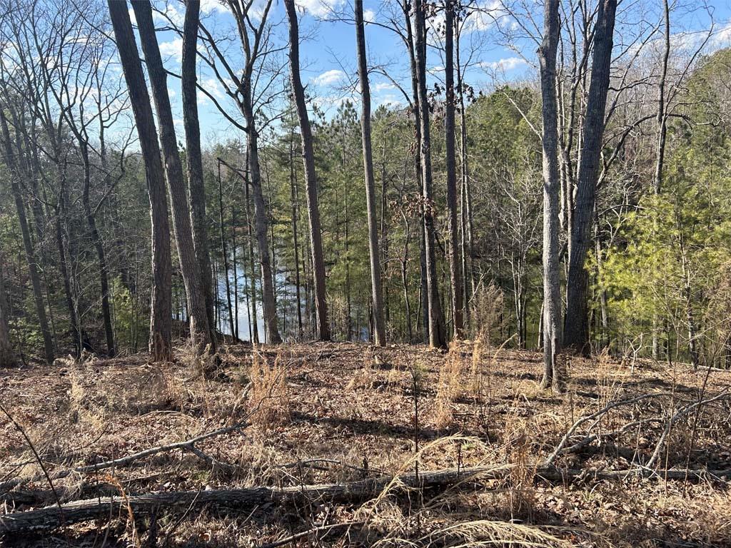 154 Lake Forest Lot 52 Drive, Ellijay, Georgia image 1