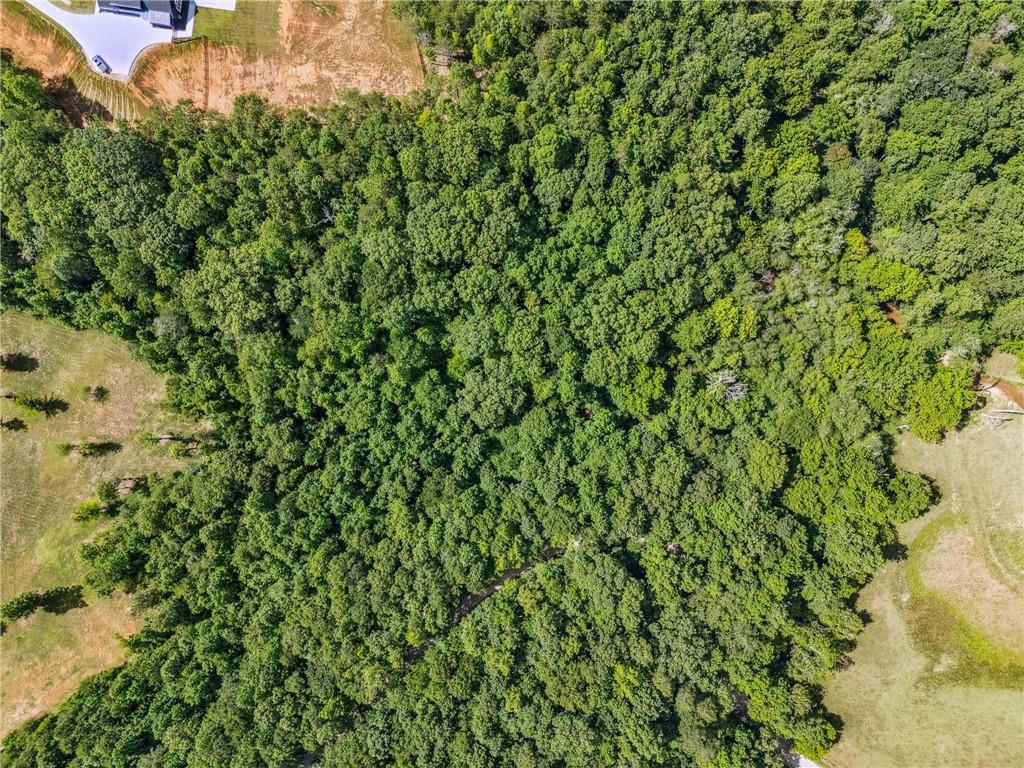 Endless Potential in Murrayville!
Discover a rare opportunity to own a beautiful piece of North Georgia on Conner Drive in peaceful Murrayville. This undeveloped parcel offers a blank canvas for your dream home, private estate, or potential investment. Nestled in a quiet rural setting yet conveniently located near Dahlonega, Cleveland, and Gainesville, you’ll enjoy the perfect balance of privacy and accessibility.
Whether you’re looking to build now or hold as a long-term asset, this land is full of possibilities. No HOA, no restrictions—just fresh air and freedom!
Road frontage, Wooded and serene, Easy access to major highways!
Buyer to verify utilities and zoning.