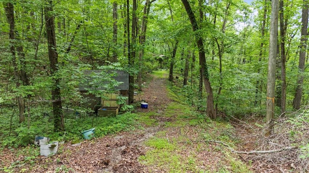 581 Nations Drive, Canton, Georgia image 5