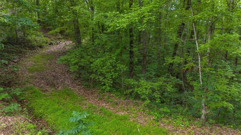 581 Nations Drive, Canton, Georgia image 13