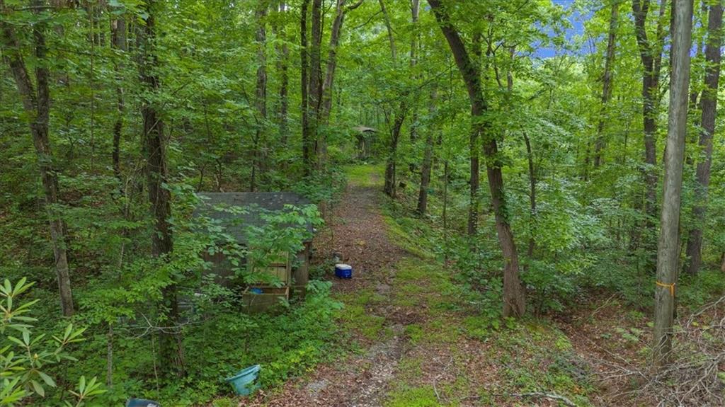 581 Nations Drive, Canton, Georgia image 6