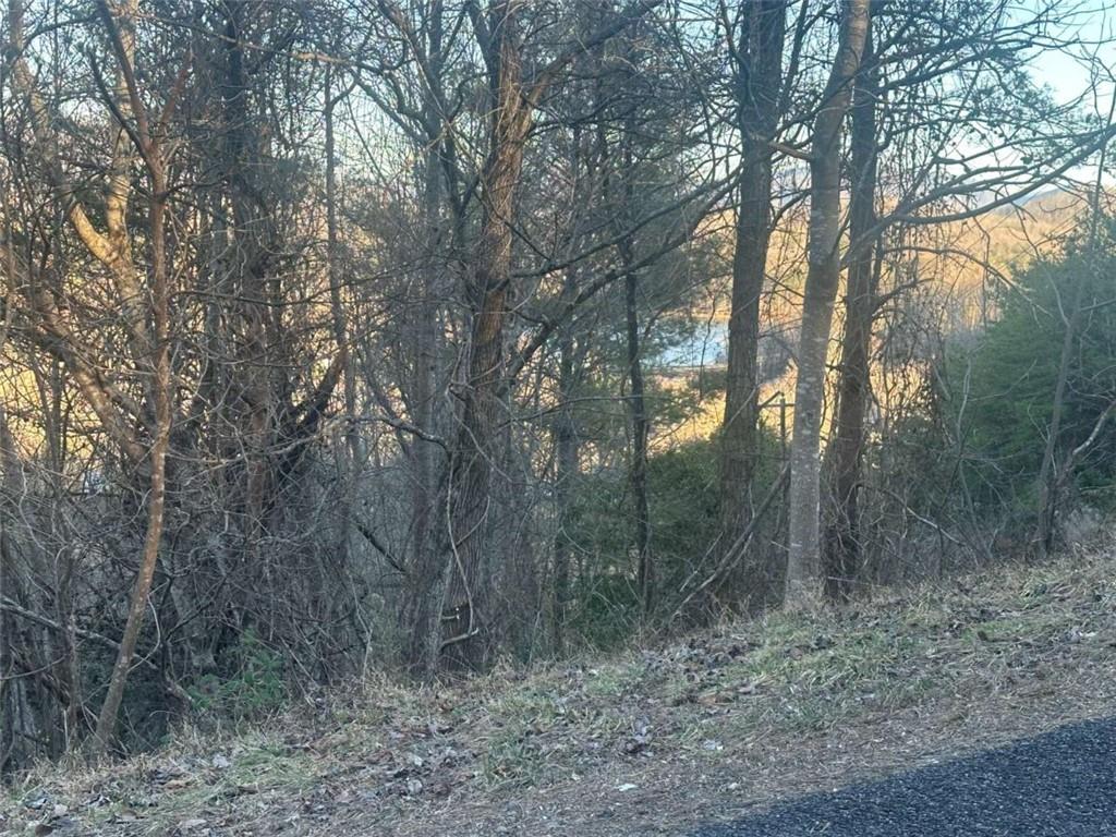 LOT 40 Overlook Trail, Hiawassee, Georgia image 5