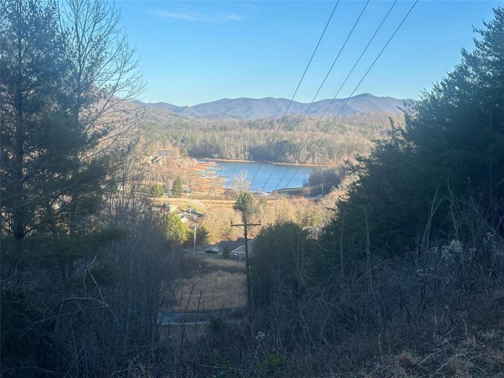 LOT 40 Overlook Trail, Hiawassee, Georgia image 2