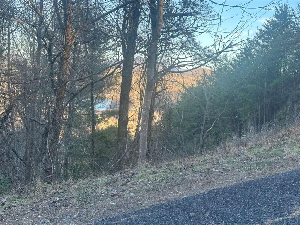 LOT 40 Overlook Trail, Hiawassee, Georgia image 4