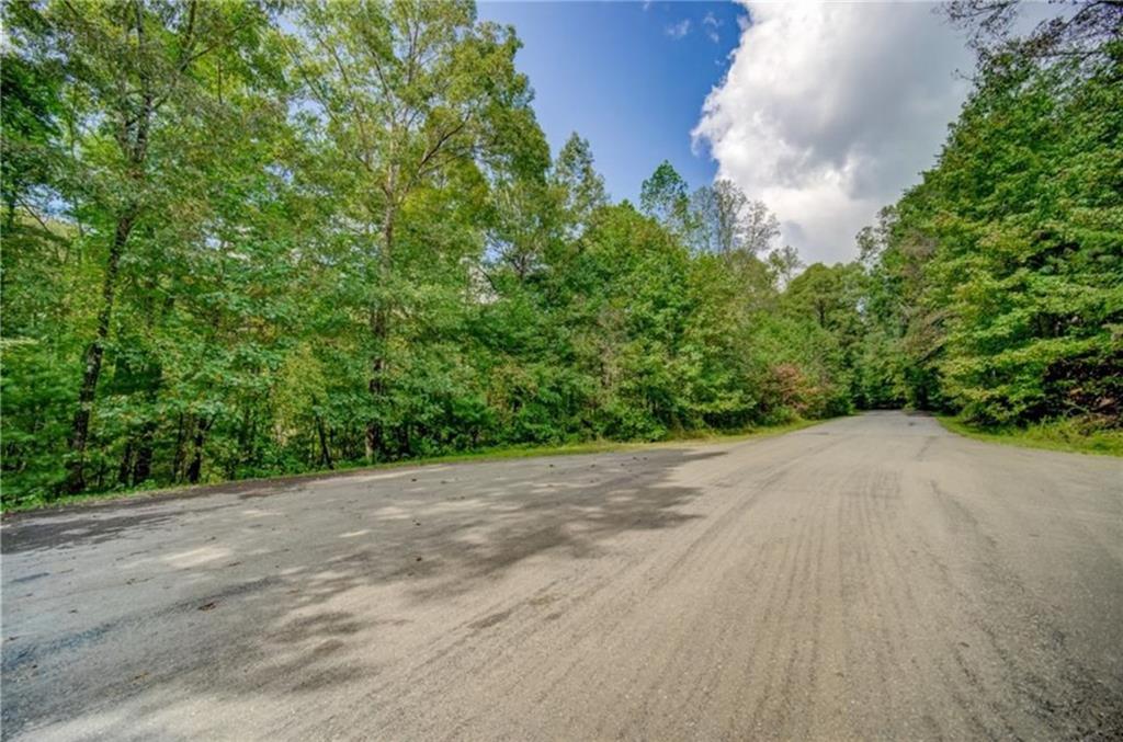 910 Issi Run, Big Canoe, Georgia image 3
