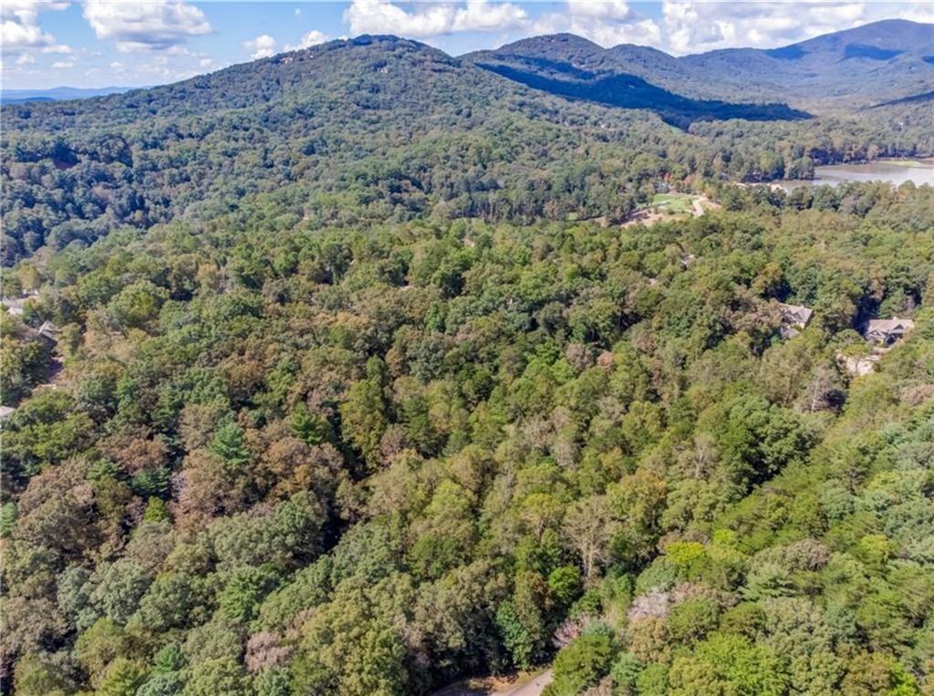 910 Issi Run, Big Canoe, Georgia image 6