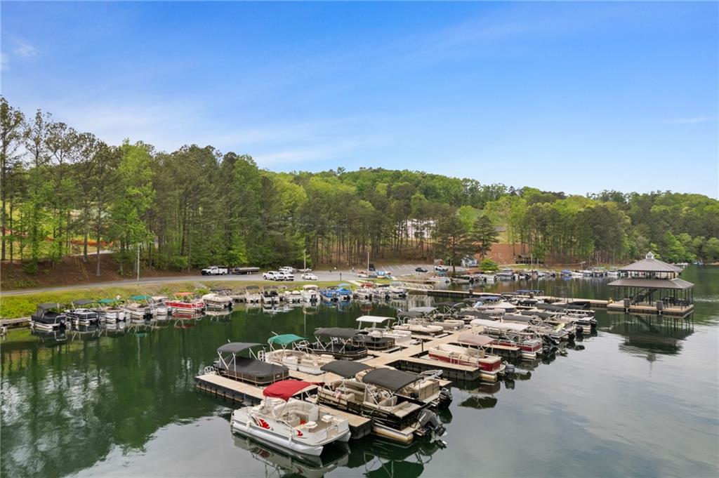 302 Morse Elm Loop, Waleska, Georgia image 11