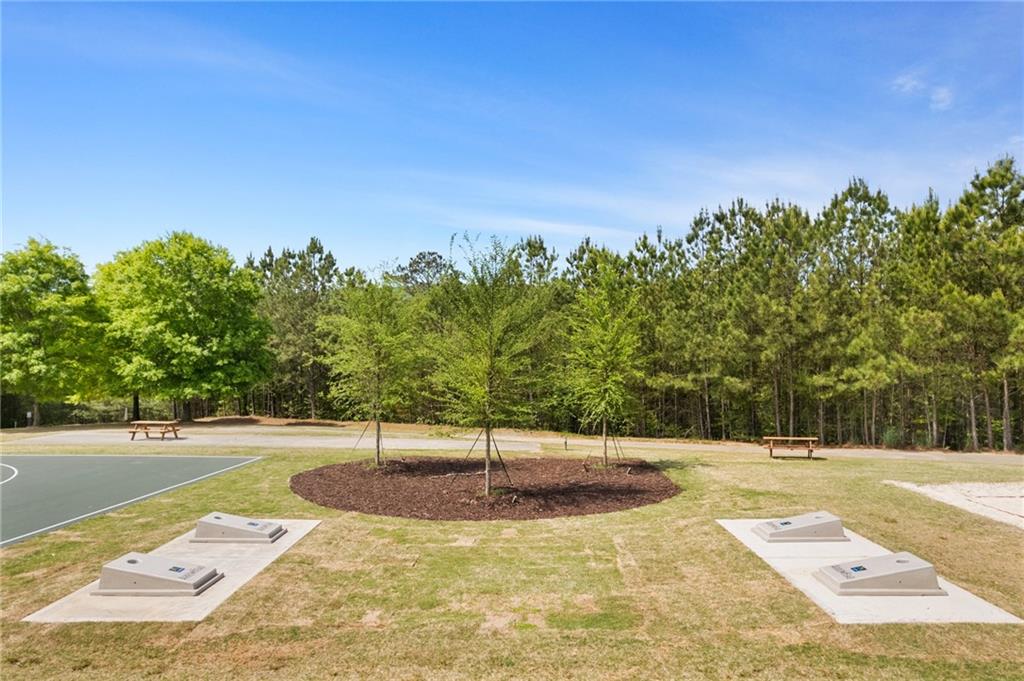 302 Morse Elm Loop, Waleska, Georgia image 16