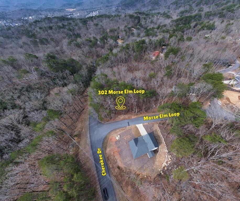 302 Morse Elm Loop, Waleska, Georgia image 1