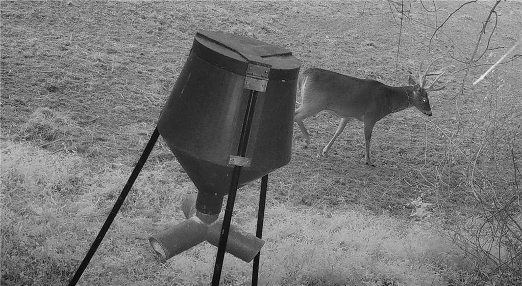 Walker Road, Madison, Georgia image 18