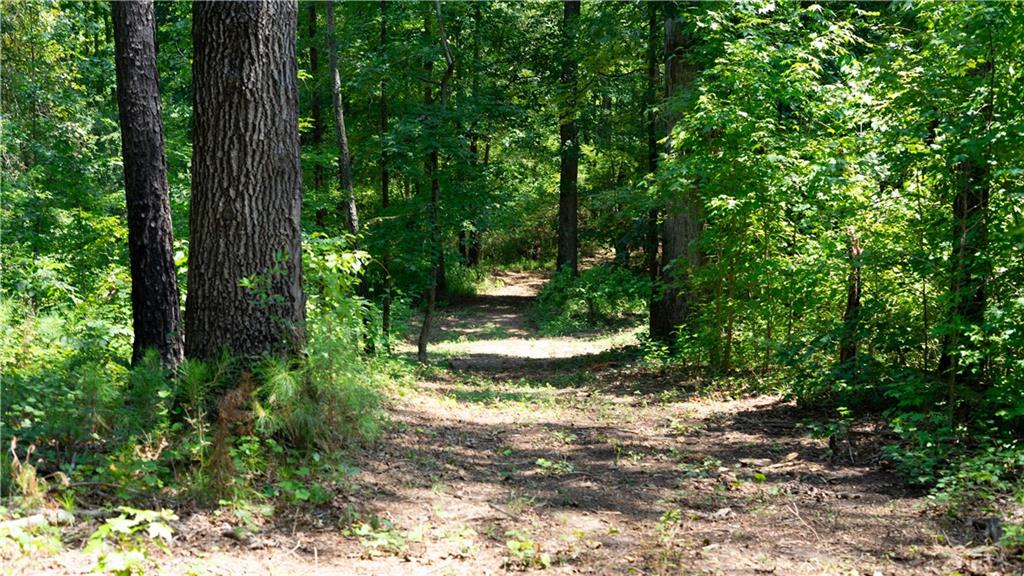 Walker Road, Madison, Georgia image 5