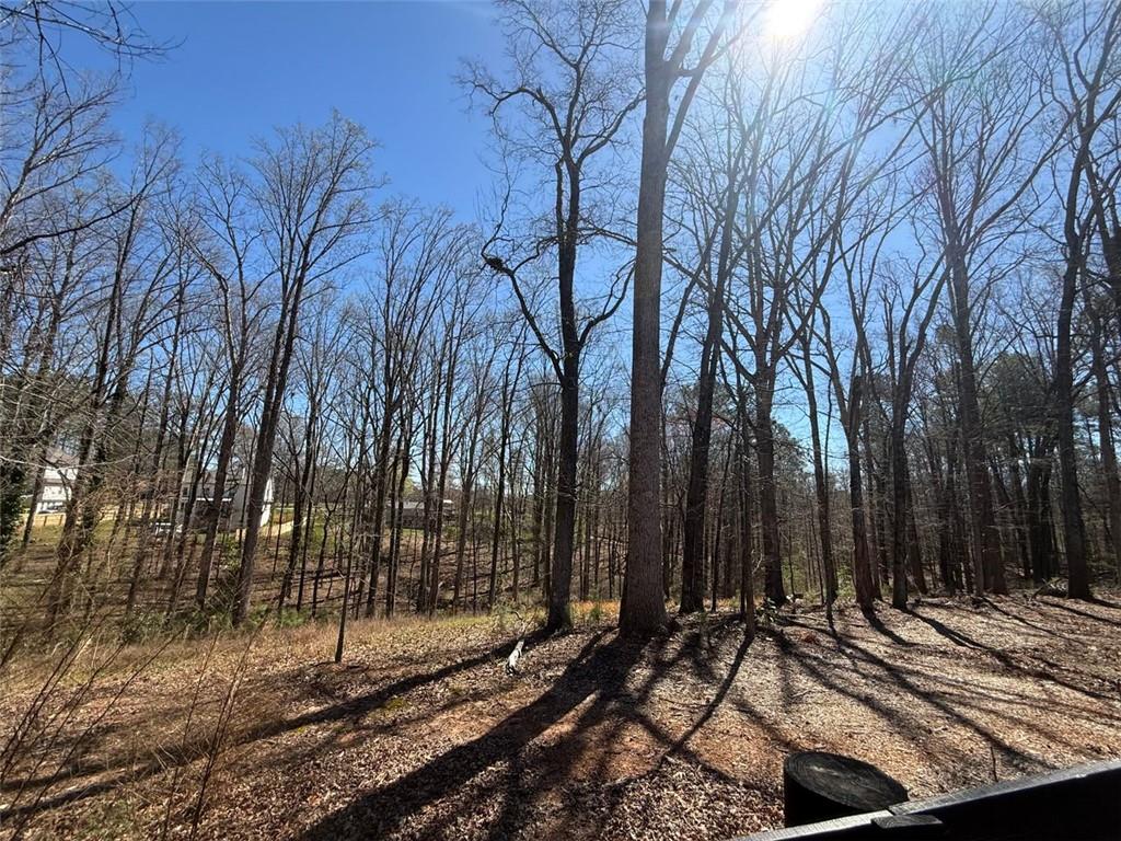 Univeter Road, Canton, Georgia image 2