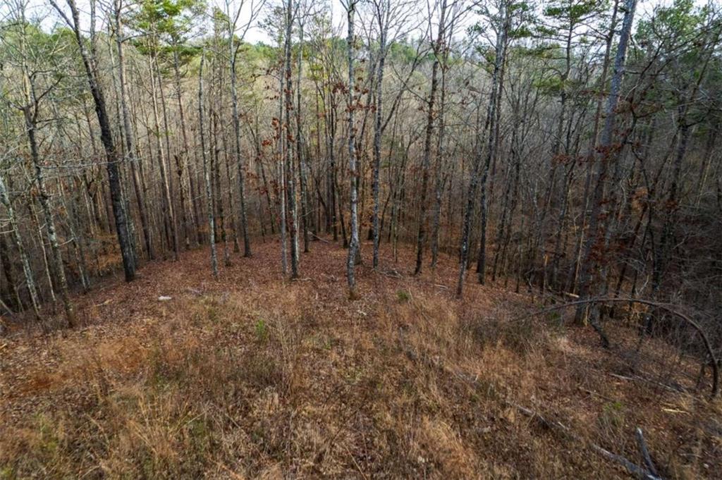 LT 186 Shelter Cove Trl, Talking Rock, Georgia image 8