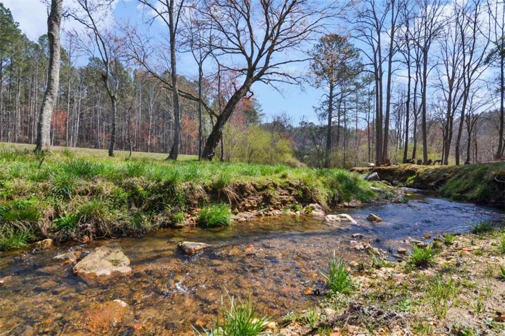 LT 186 Shelter Cove Trl, Talking Rock, Georgia image 24