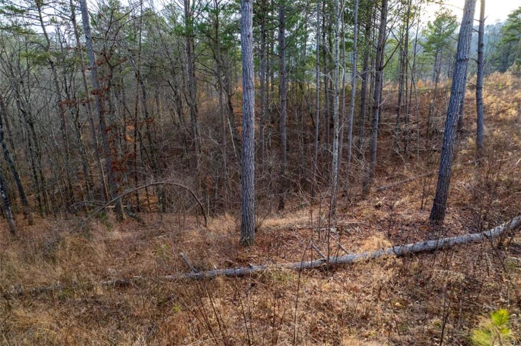 LT 186 Shelter Cove Trl, Talking Rock, Georgia image 9