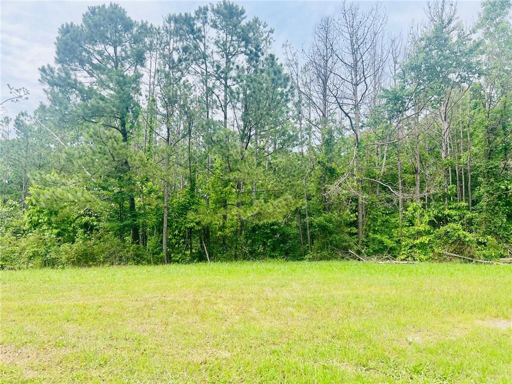 30 Ridgeline Way, Cartersville, Georgia image 1