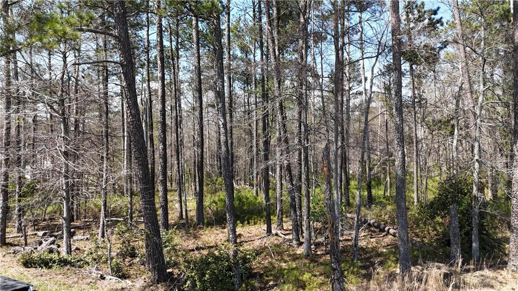 Kings Camp Road, Acworth, Georgia image 4