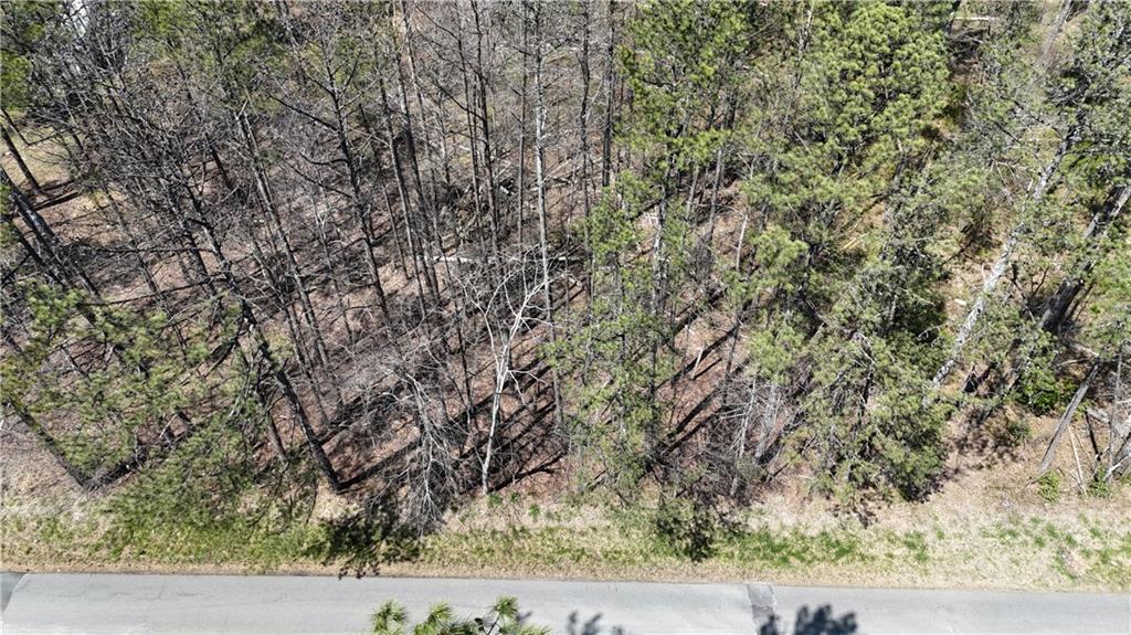 Kings Camp Road, Acworth, Georgia image 6