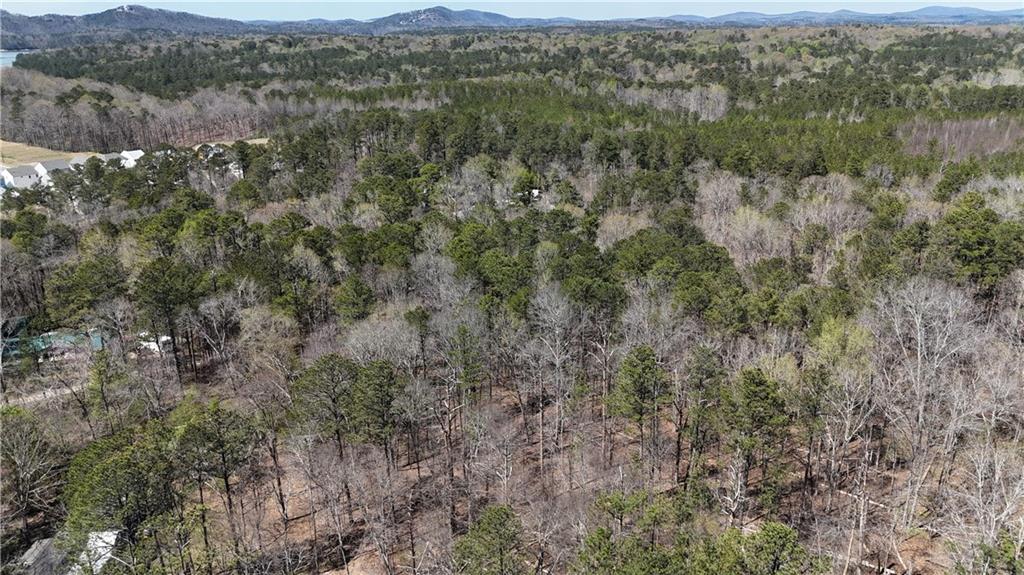 Kings Camp Road, Acworth, Georgia image 11