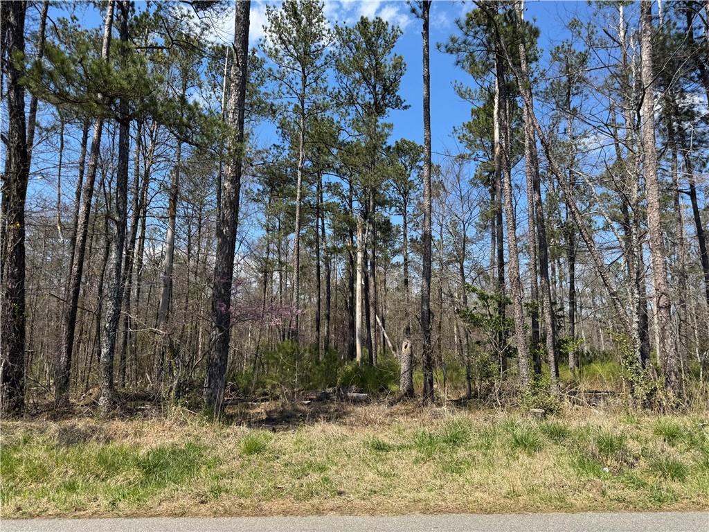 Kings Camp Road, Acworth, Georgia image 5