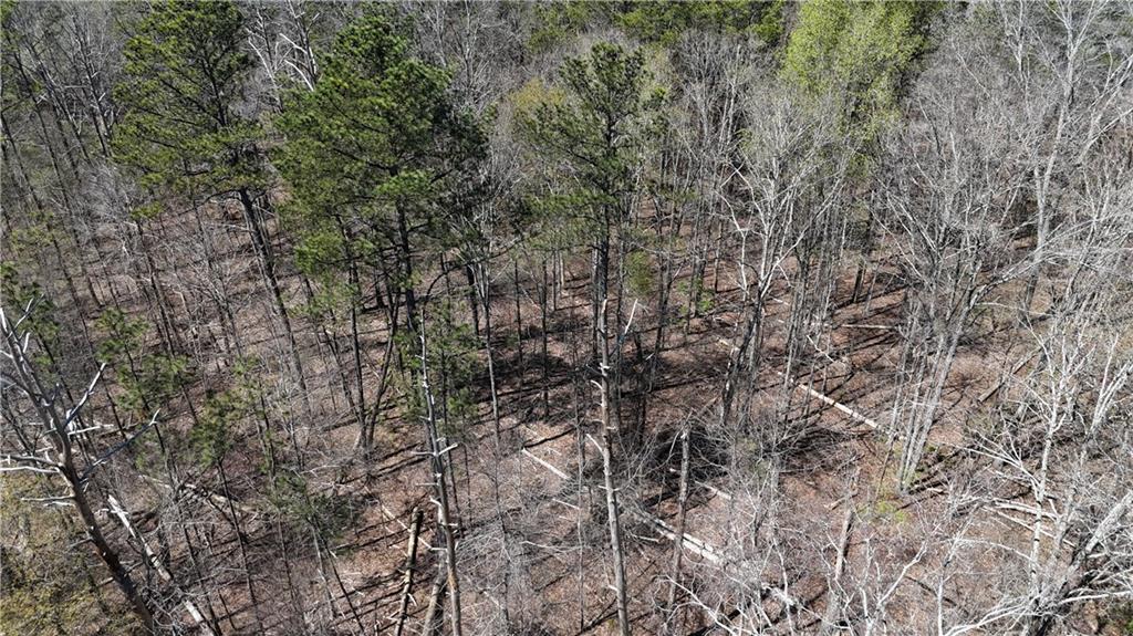 Kings Camp Road, Acworth, Georgia image 12