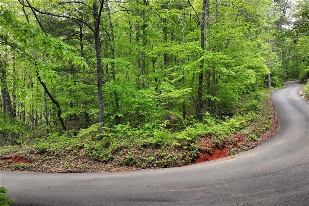 Lawrence Road, Dawsonville, Georgia image 6