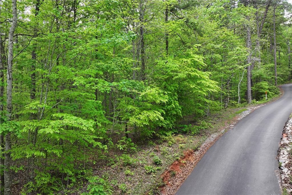 Lawrence Road, Dawsonville, Georgia image 7