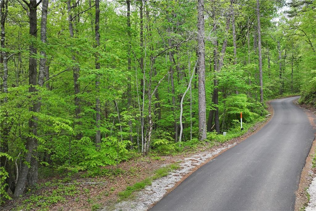 Lawrence Road, Dawsonville, Georgia image 8